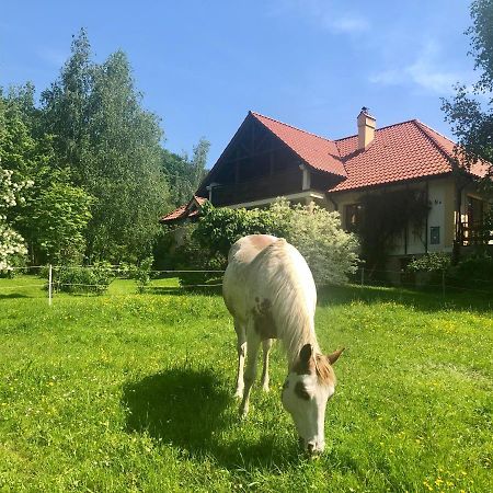 Modryna Ranczo Bed & Breakfast คราซิเจิน ภายนอก รูปภาพ