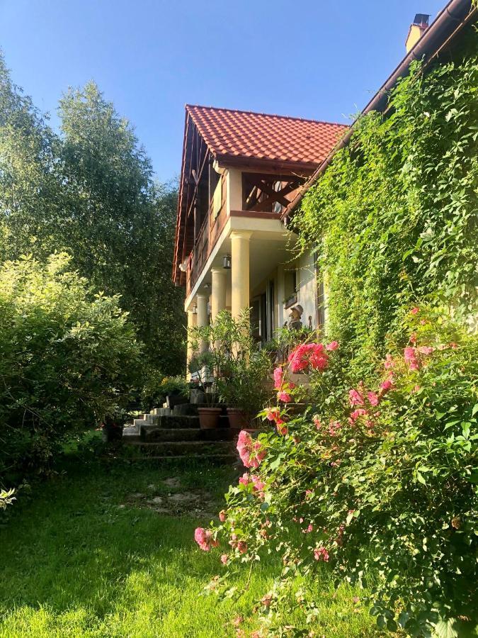 Modryna Ranczo Bed & Breakfast คราซิเจิน ภายนอก รูปภาพ