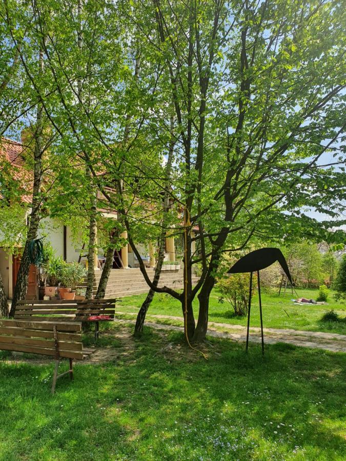 Modryna Ranczo Bed & Breakfast คราซิเจิน ภายนอก รูปภาพ