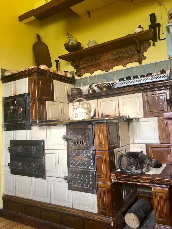 Modryna Ranczo Bed & Breakfast คราซิเจิน ภายนอก รูปภาพ